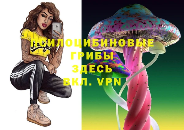 mix Вяземский